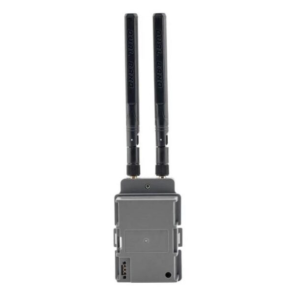 RadioMaster Nomad Dual 1W Gemini Xrossband ExpressLRS Module - Image 3